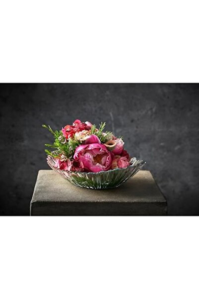 Nacario Nrcrioshop Aurora Kase2 (>17Cm) 84 Cc t Single Gift Box 1201248