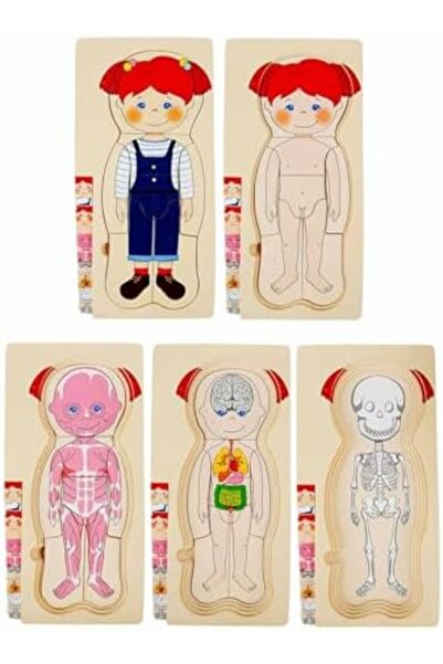 Nacario Nrcrioshop Wooden Puzzle 4X7 Pieces Human Body 1201248