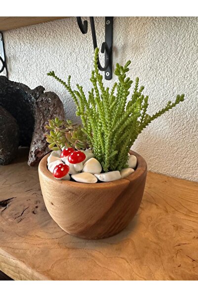 Carveni Set of 2 Natural Walnut Wood Handmade Wooden Bowls for Succulent Plan...