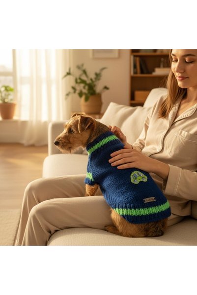 Lady Fify World Tour Blue Sweatshirt for Cat and Dog