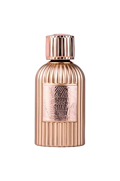 Paris Corner PARFUM ORIGINAL AE - QISSA DELICIOUS EAU DE PARFUM 100ML