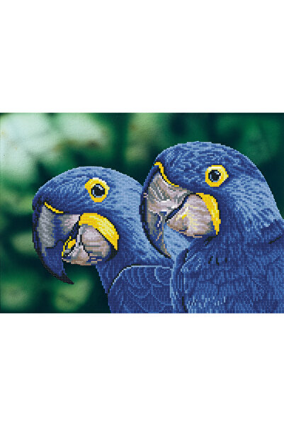 diamond dotz Diamond painting - Blue parrots, 37 x 52 cm