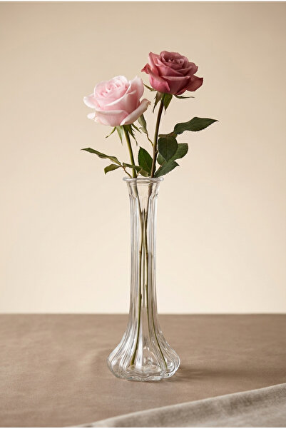 TR Turan Collection MEİRA El Yapımı Cam Çizgi Model Çiçek Karanfil Gül Vazosu