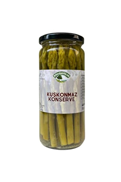 NEVARSAEGEDEVAR Kuşkonmaz Konserve 500 cc