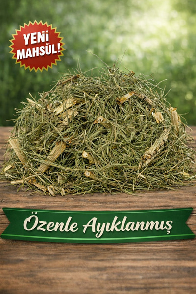 Diyet AVM Kırkkilit Otu (At Kuyruğu Otu) 100 g Avantajlı Boy Doğal Bitki Çayı