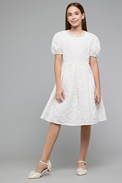 R&B Textured Fit & Flare Dress with Crew Neck and Puff Sleeves