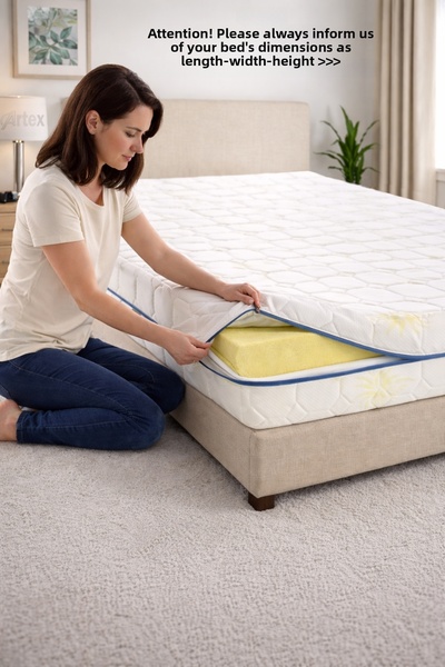 Artex غطاء مرتبة ألو 100x200 واقي غطاء سرير مبطن بسحاب