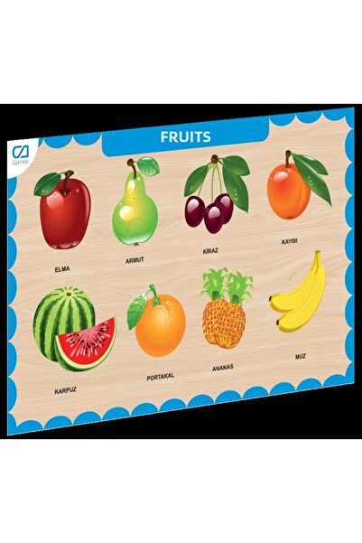 CA Games Nessiworld CAAHS-3206 لعبة البحث عن الفواكه الخشبية