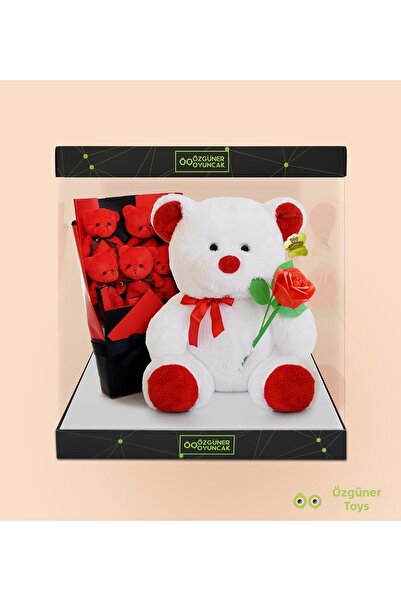 Pababo Valentine's Day Gift Set Boxed Plush Teddy Bear and 3D Mini Teddy Bear...
