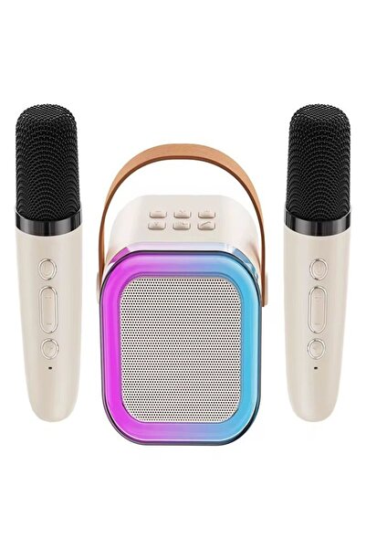 China Made Boxă karaoke portabilă cu 2 microfoane wireless
