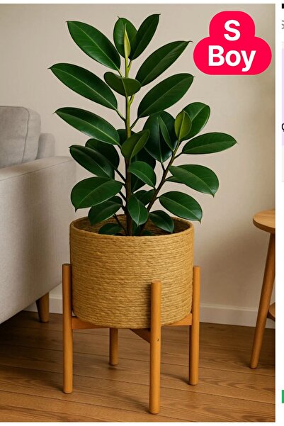 ADA Ahşap oyma ve çerçevecilik Hasır Saksı Bambu Standlı