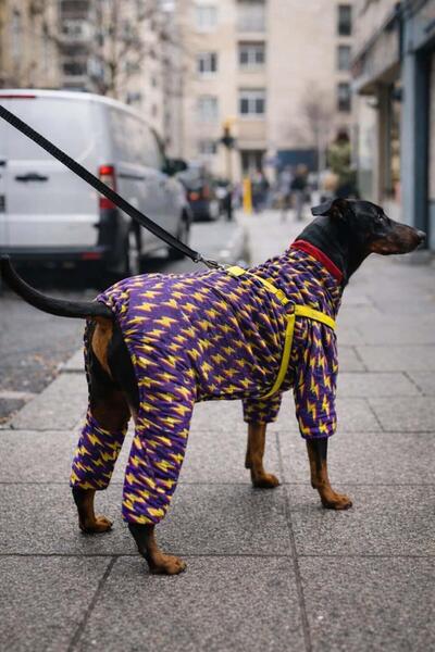 Alphadog بذلة كلب الرعد