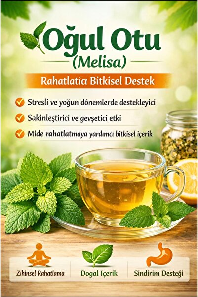 VIOLA TOHUM ve BAHARAT Melisa (OĞUL OTU) Uyku , Stres , Çarpıntı Icın Faydalı