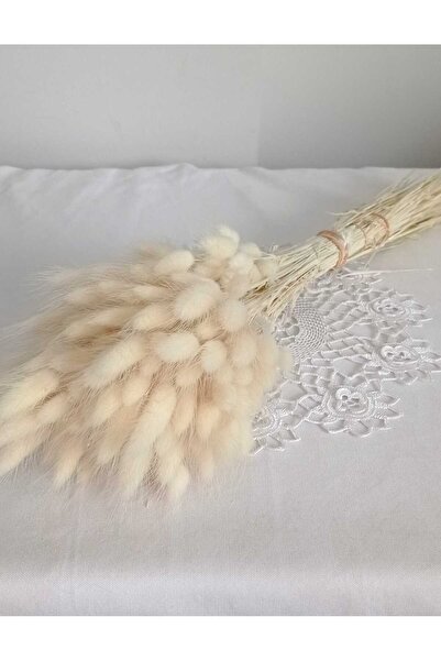 Birlik Pamuk Otu Lagurus Doğal Kuru Çiçek Krem A Kalite