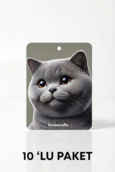 Genel Markalar 10'lu Paket Oto Araç Kokusu British Shorthair - Vanilya Kokulu