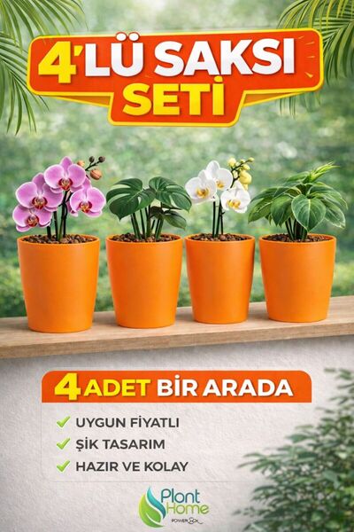 Plant Home Power Mix Dekoratif Turuncu Orkide Saksısı - 4 Adet Set Fiyatlı -1...