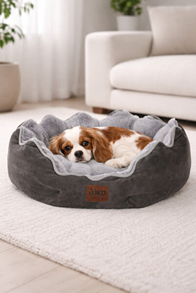 Jungolica Pet Products Elsa, Yüksek Kaliteli, Konforlu, Estetik Kedi ve Köpek...