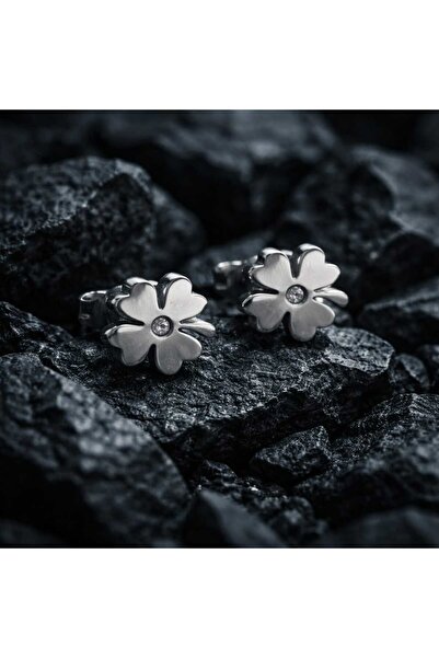 Takıparkxs Vip Küpe Seti Dört Yaprak Yonca Zirkon Taşlı 1 Çift Küpe - Lüks Ta...