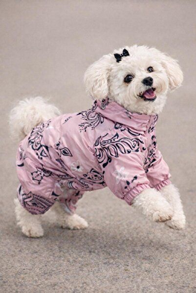 Alphadog شال الكلب بذلة