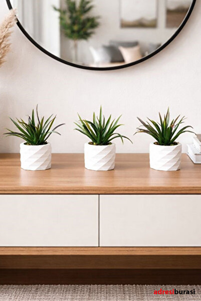 adresiburasi مجموعة زهور طاولة خضراء في وعاء خرساني مكون من 3 قطع