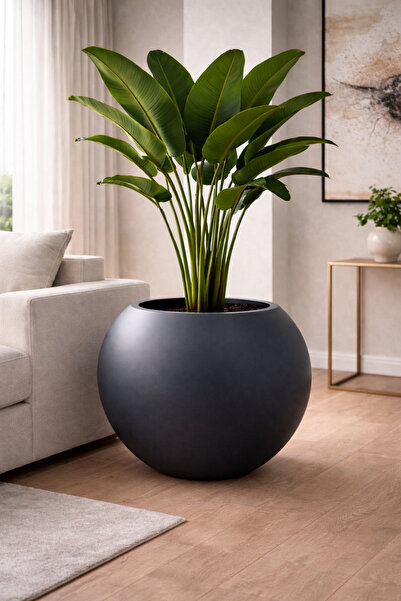 eya garden ORBIT Serisi Dekoratif Küre Saksı - Antrasit - İç Kovalı Modern Ta...