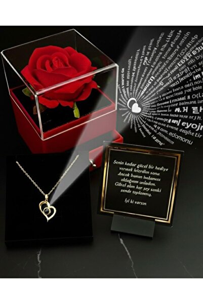 aromahediye 14 AYAR ALTIN KAPLAMA 100 DİLDE SENİ SEVİYORUM KOLYE GÜLLÜ KUTU Ç...