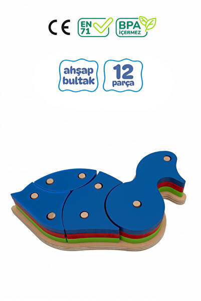 Circle Toys Ördek Desenli Renkli Ahşap Şekiller 12 Parça
