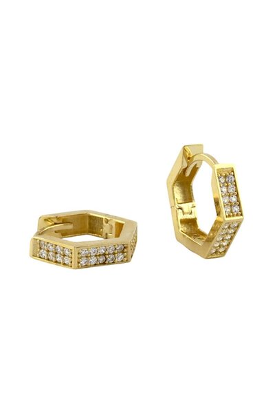 Altınkaynak 14 Ayar Altın Tasarım Küpe  -  0188053