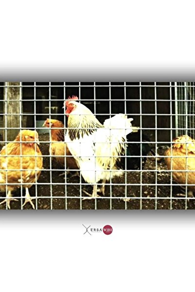 ERSA DEMİR ÇELİK Ersatel Hasır Tel 3.65 Mm X 3*3 Cm X 100x200 Cm - Kaynaklı -...