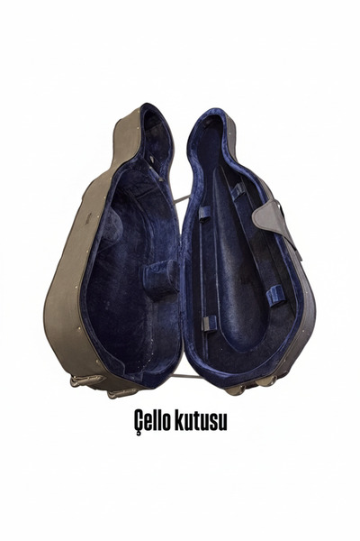 Dominguez Taşınabilir tekerlekli Çello kutusu