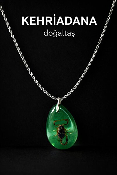 KEHRİADANA TESBİHCİLİK KEHRİADANA DOĞAL KEHRİBAR KOLYE AKREP FOSİL GÜMÜŞ KAPL...