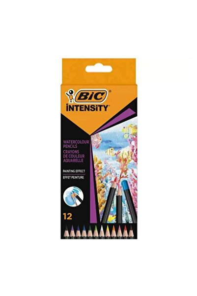 Bic İntensity Aquacouleur Kuru Sulu Boya Kalemi 12 Renk 511726