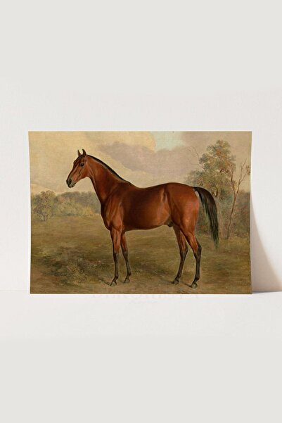 HOME DEKORİSTA Vintage αφίσα με άλογα, τοίχος γκαλερί, καλλιτεχνική εκτύπωση,...