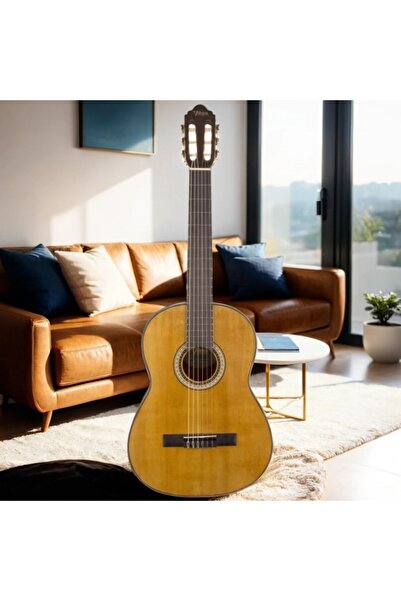 VALENCIA Vc404 Klasik Gitar Kılıf Ve Pena Hediyeli