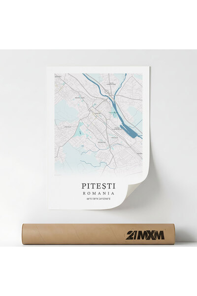 21mxm Canvas Poster with Pitesti City Map - Romania – Unframed Digital Print