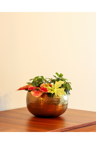 Genel Markalar Aurea Metal Saksı Orta Boy Sarı