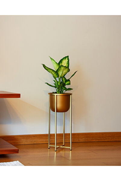 Decor Impex Athena Ayaklı Metal Saksı Küçük Boy