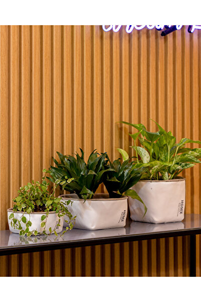 Greenmall Rosmerta Saksı 4'lü Set