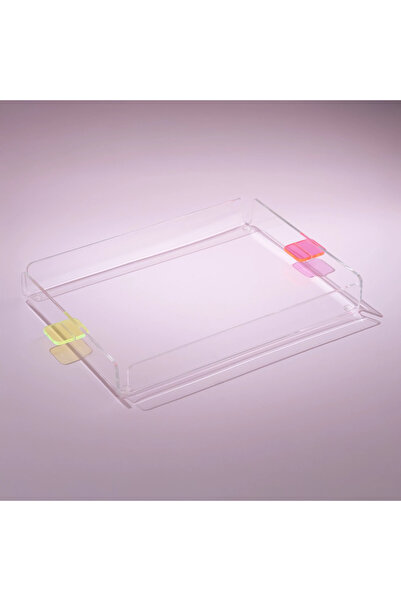 Qua Home Manta Renkli Kulp Detaylı Pleksi Tepsi 30x22 cm