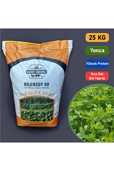 EŞREF ŞEKERLİ Bilensoy80 Kaplamasız Yonca Tohumu Dormansi 5 – 25 Kg