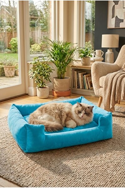 PUGALO Soho Ultra Yumuşak Kedi ve Köpek Yatağı Elyaf Dolgu