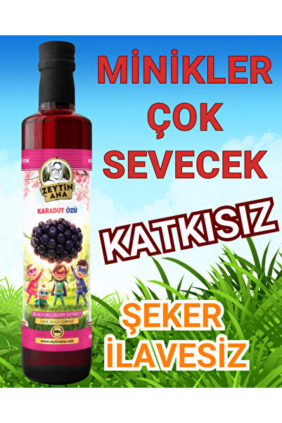 ZEYTİN ANA Karadut Özü 700 gr (Katkısız Ve Şeker ilavesiz Bebek, Çocuk Tükete...