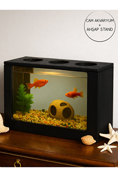 Okay Beta Akvaryum Ahşap Hediyelik Balık Akvaryumu Şık ve Dayanıklı Modern Do...