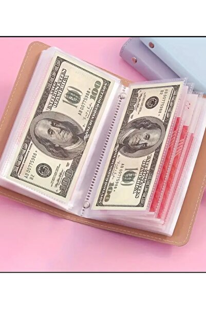 volera 100 adet kapasiteli para altın saklama koleksiyon defteri