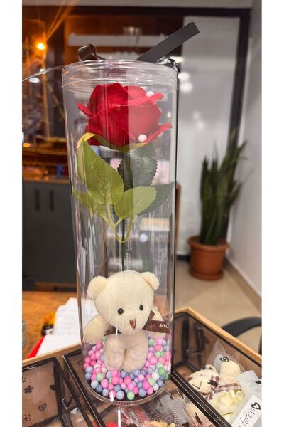 Marka ŞEFFAF SİLİNDİR KUTU İÇİNDE AYICIK-KIRMIZI GÜL SET