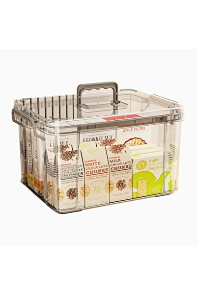 DAMUR Storage Box Type Suitcase Transparent-Grey, L, 38.5x27.5x22 cm