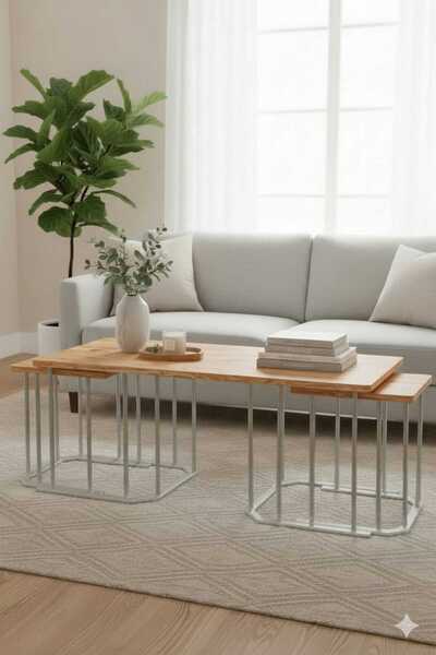 Nokta Sehpa Home 2+1 DİKDÖRTGEN 3LÜ ORTA SEHPA GÜMÜŞ METAL ÇAM TABLA