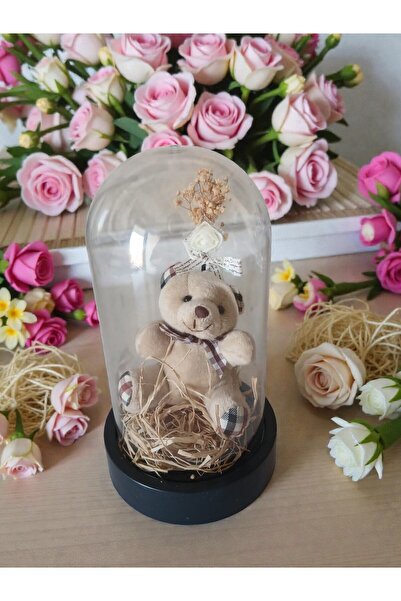 Doğal Doğum günü , arkadaşa ve sevgiliye hediye fanus içinde sevimli peluş ay...