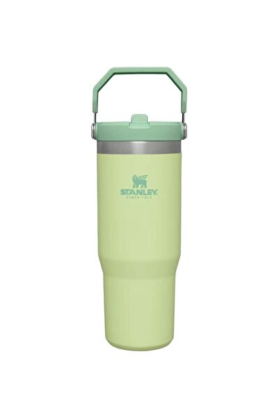 stanly Stanley IceFlow Flip Straw Water Bottle with Straw 0.89 L - Thermos Bo...