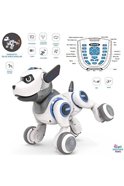 Brother Toys Uzaktan Kumandalı 30 Fonksiyon Akıllı Interaktif Öğretici Robot ...